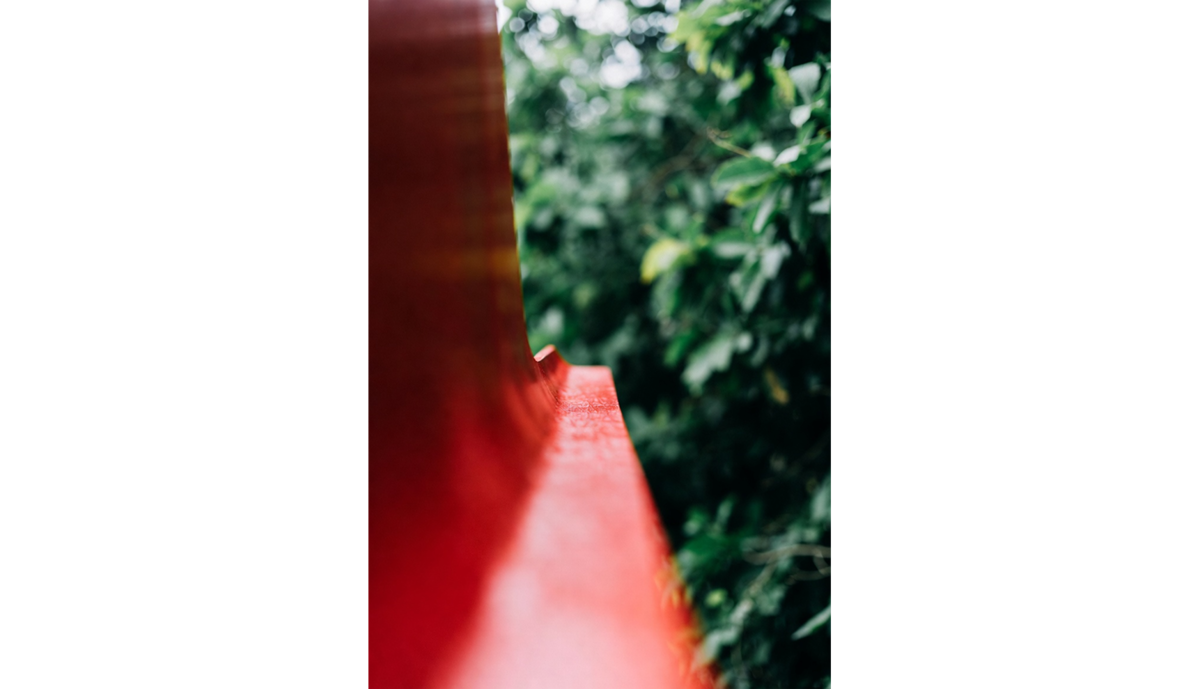 The edge of a red bench against a background of green leaves | Skylum Blog