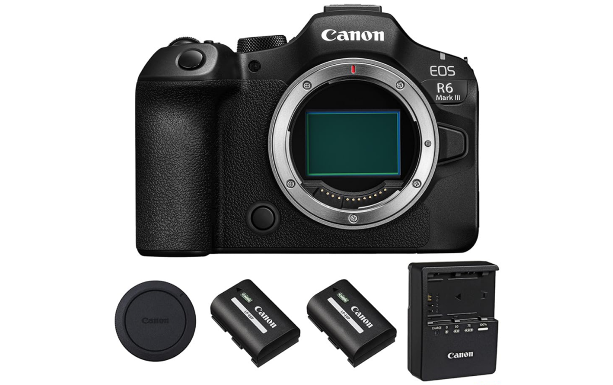 Batteries Canon R6 Mark III | Skylum Blog

