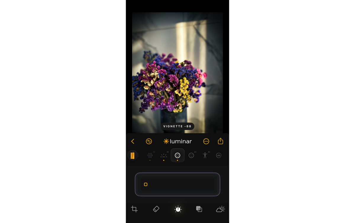 Vignetting in photos in Luminar Mobile | Skylum How-to
