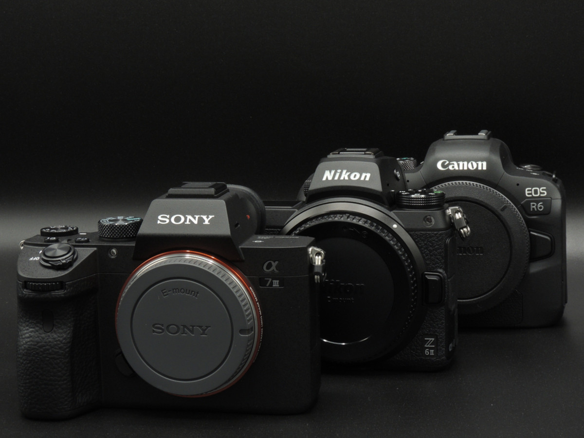 Kamera Sony Nikon Canon | Skylum Blog
