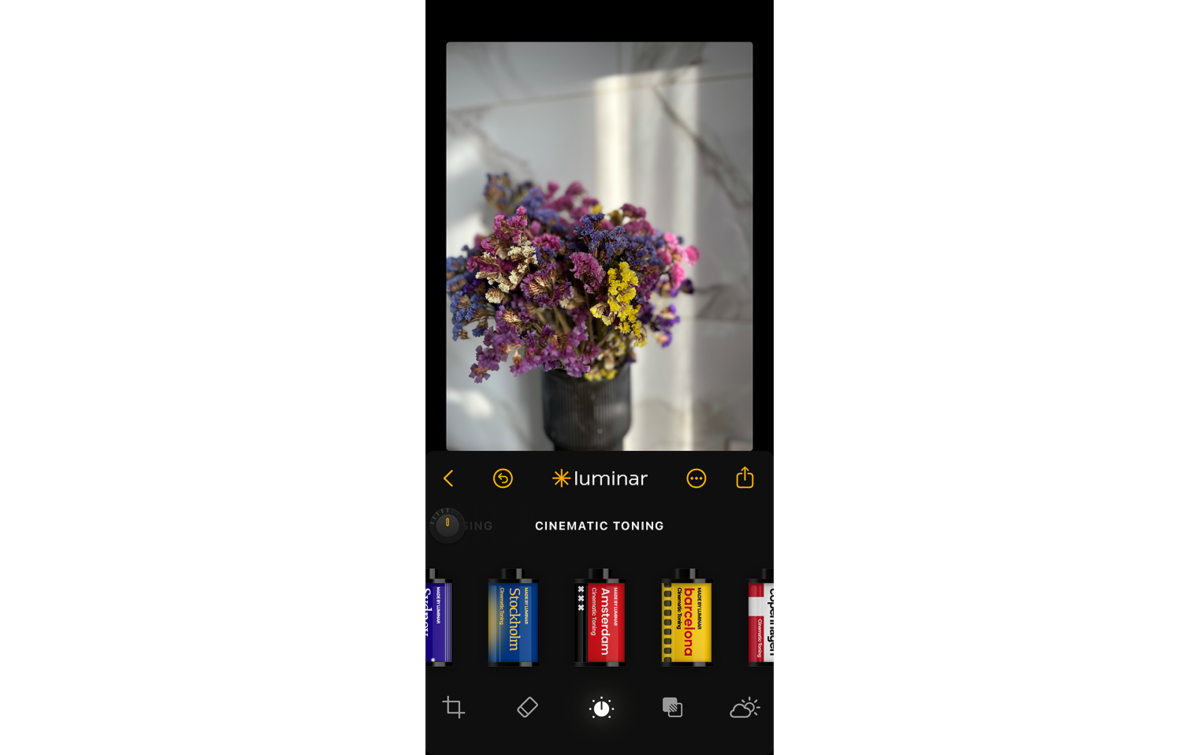 Film effects in Luminar Mobile | Skylum How-to

