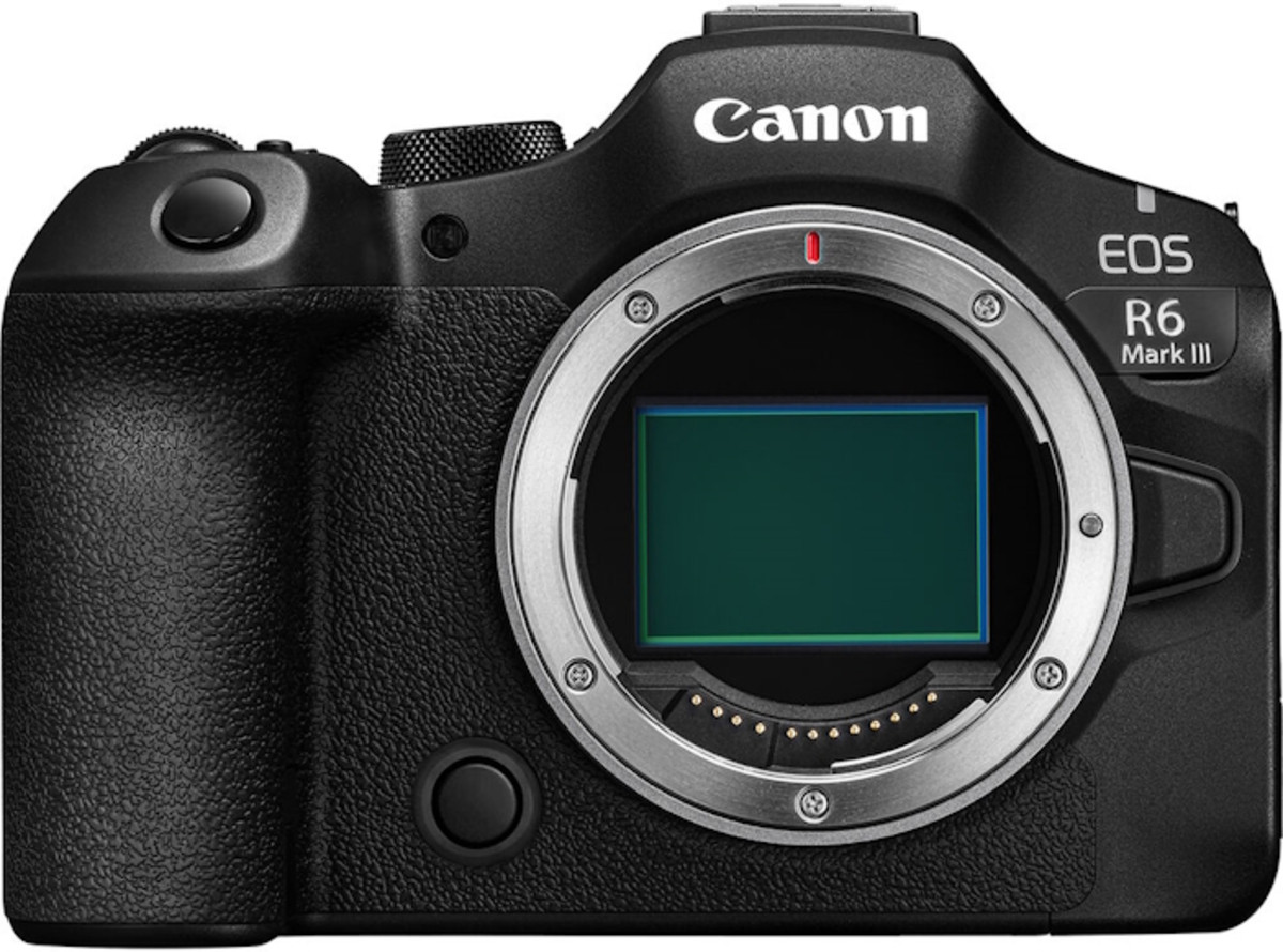 View of the matrix Canon R6 Mark III | Skylum Blog


