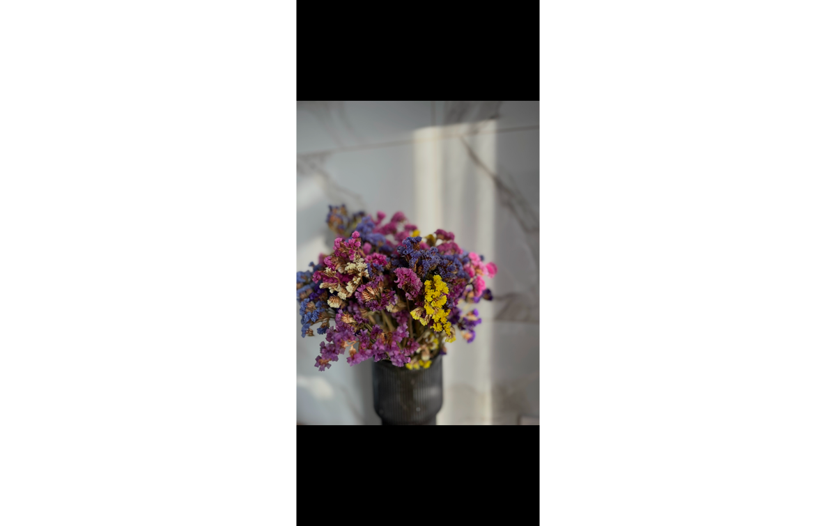 Photo editing in Luminar Mobile | Skylum How-to
