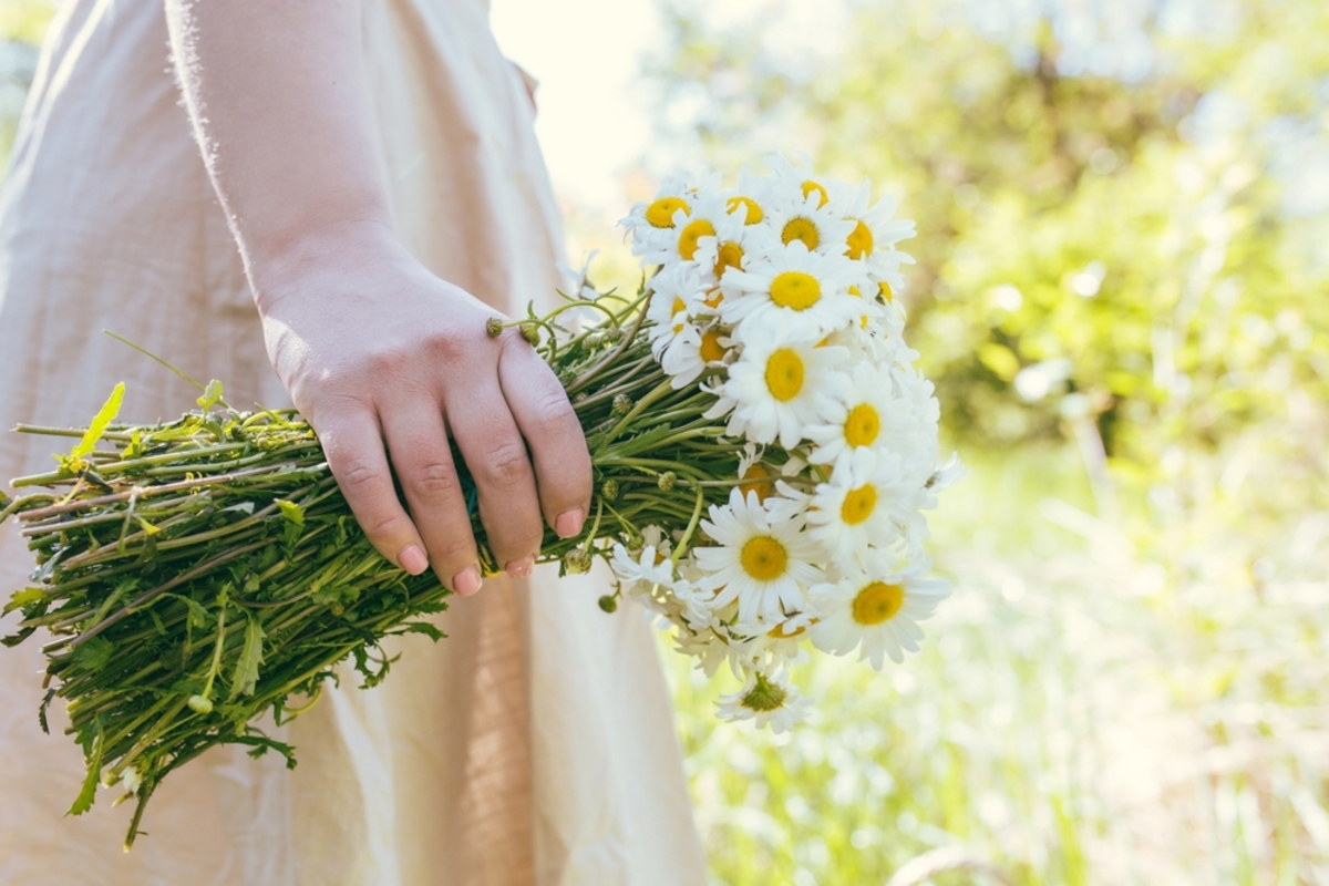 Daisies in a girl's hands | Skylum Blog

