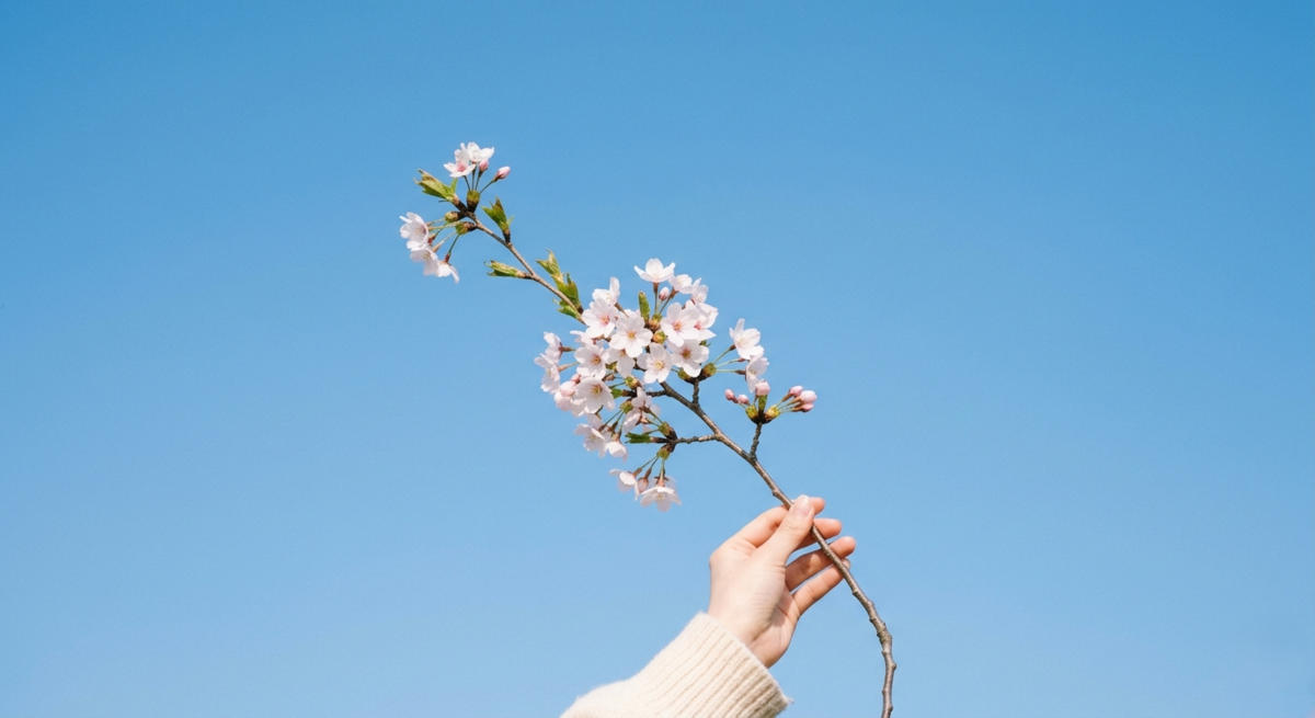 A minimalist photo: a single flower against the sky | Skylum Blog

