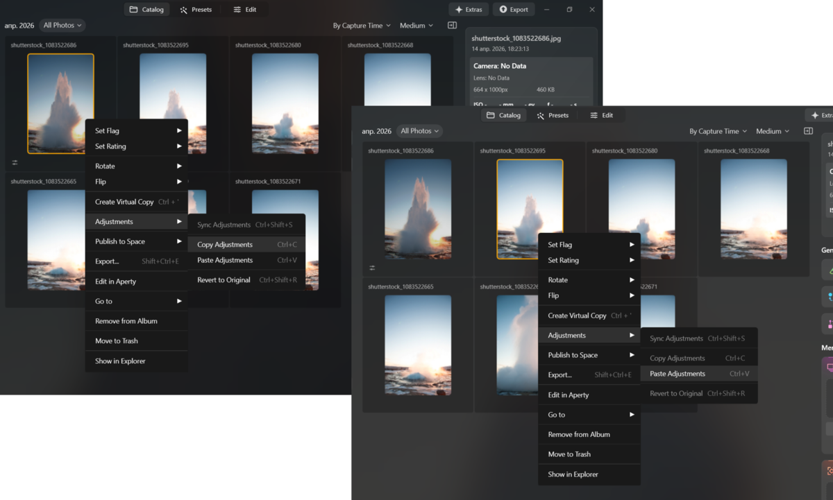 Kopírování a vkládání úprav do fotografie v aplikaci Luminar Neo | Skylum Návod k použití

