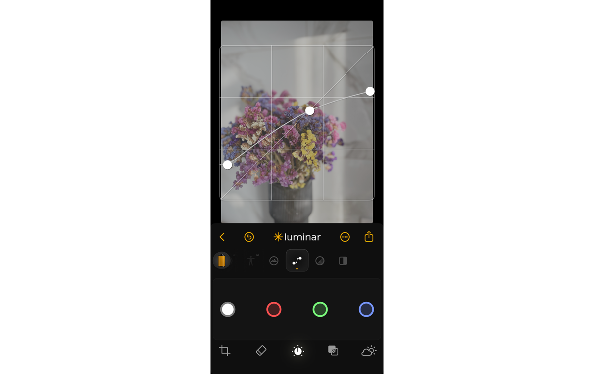 Curve in Luminar Mobile | Skylum How-to

