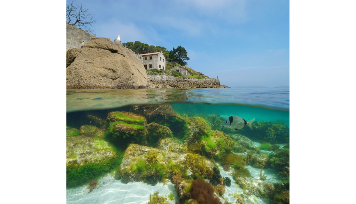 Photos from underwater | Skylum Blog