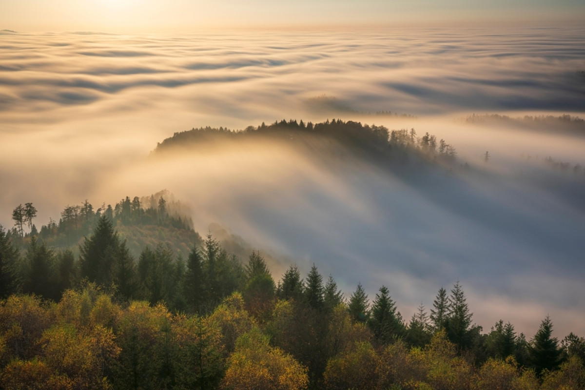Foggy nature photo | Skylum Blog
