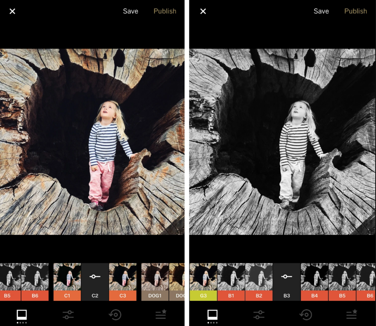 VSCO photo editor | Skylum Blog