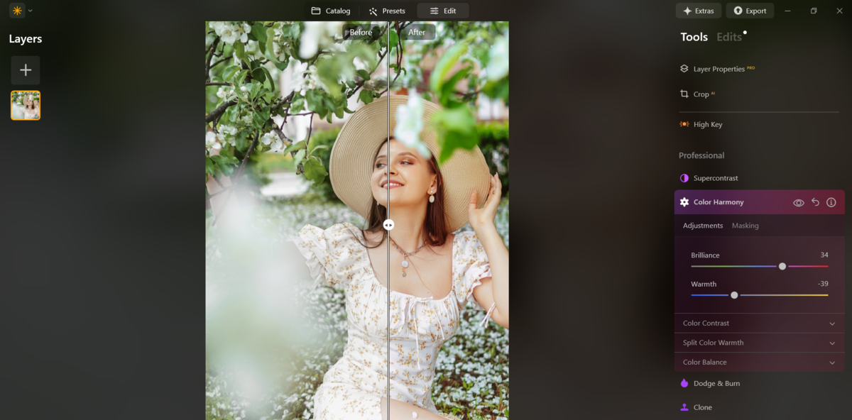 Colour Harmony  in Luminar Neo | Skylum Blog

