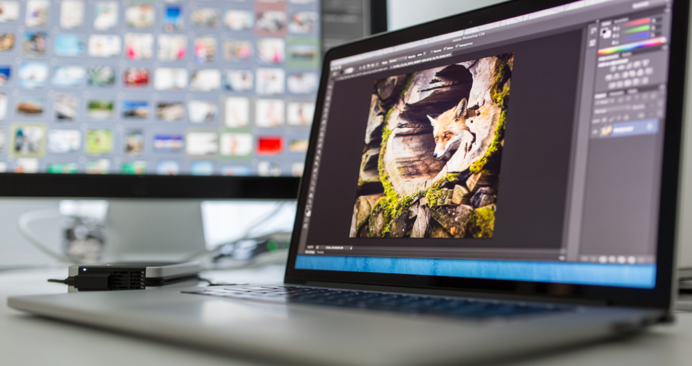 Portrait of a girl with flowers on her head | Skylum Blog