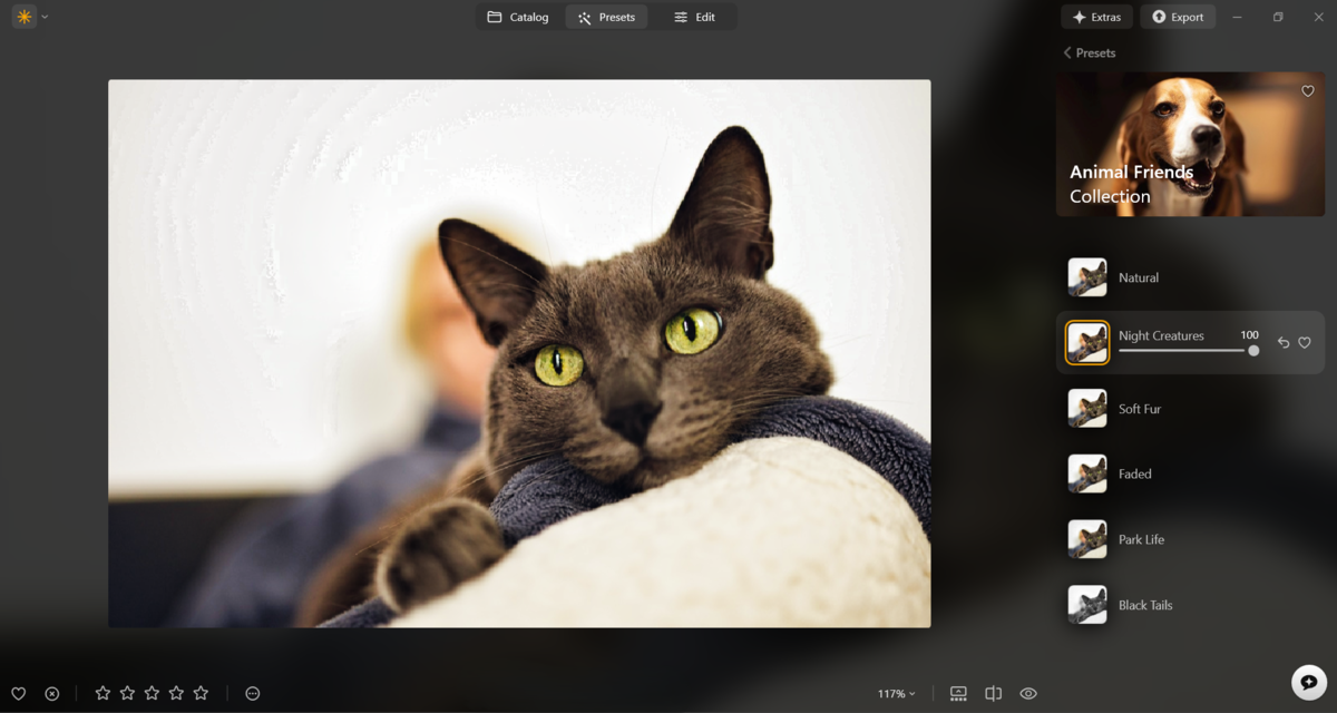Presets in Luminar Neo | Skylum Blog

