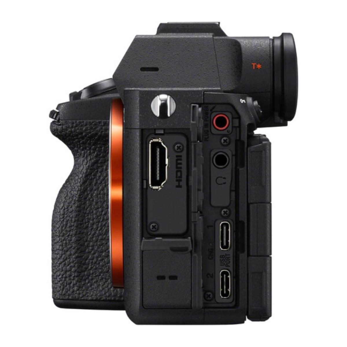 Sony A7V invoerweergave | Skylum Blog

