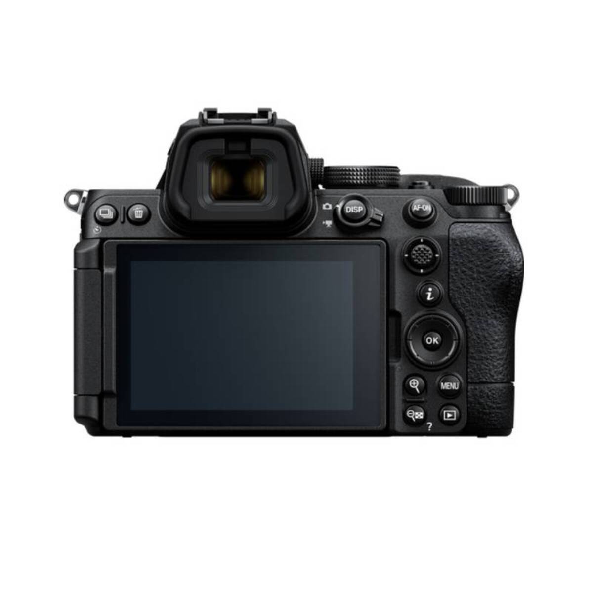View on screen Nikon Z5 II | Skylum Blog

