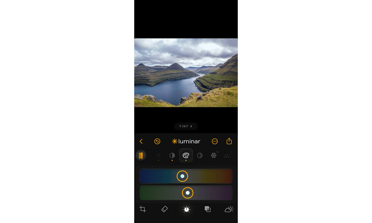 Color in Luminar Mobile | Skylum Blog

