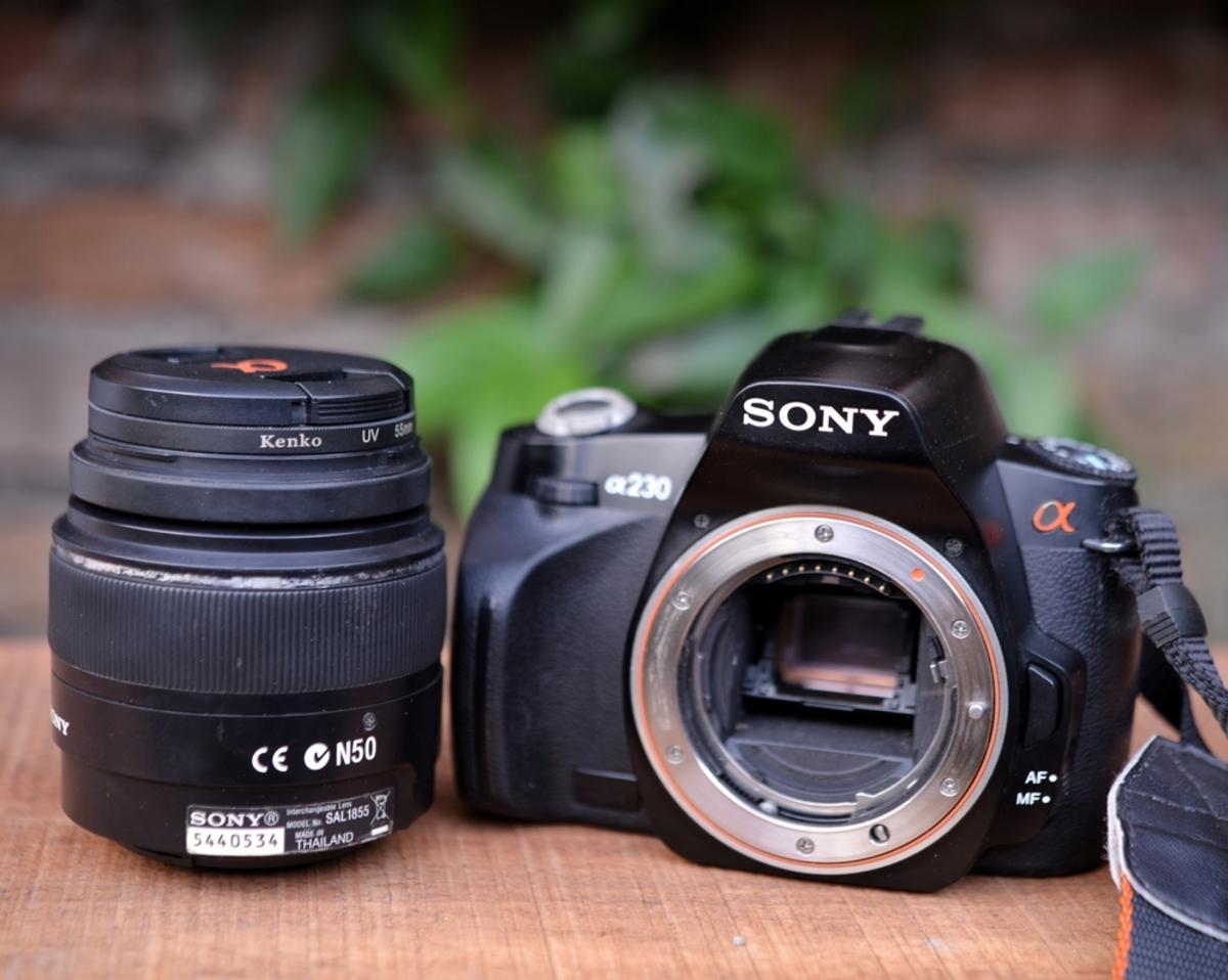 Sony A7 | Skylum Blog

