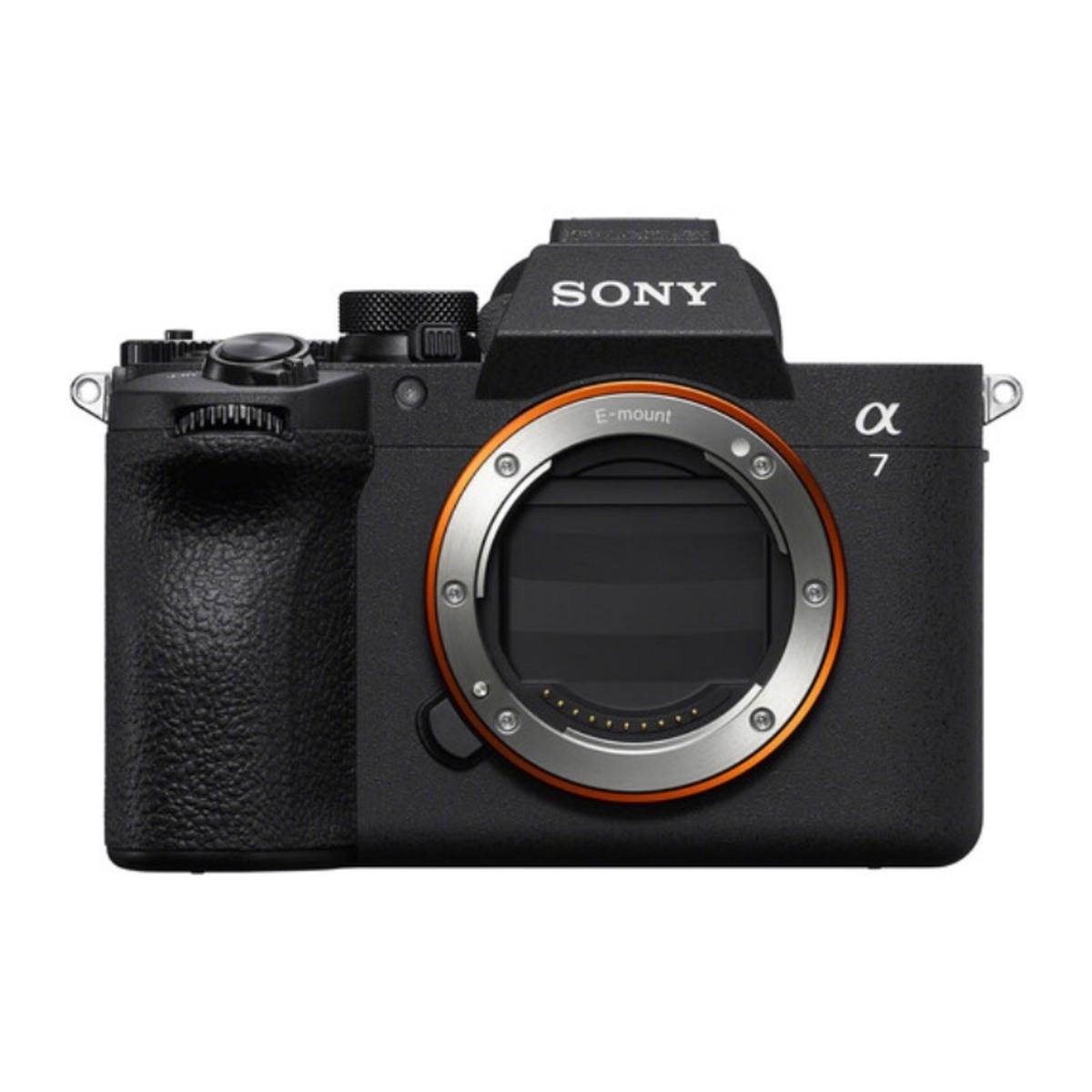 Sony A7V invoerweergave | Skylum Blog

