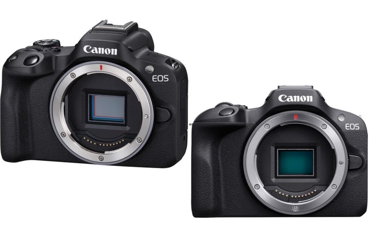 Sensors Canon R50 and Canon R100 | Skylum Blog

