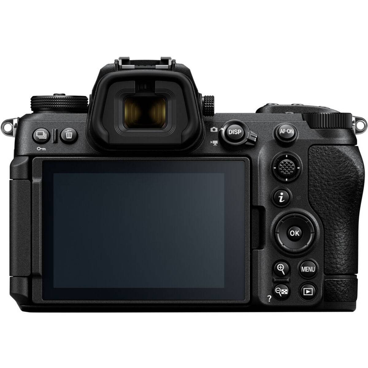 View on screen Nikon Z6III | Skylum Blog

