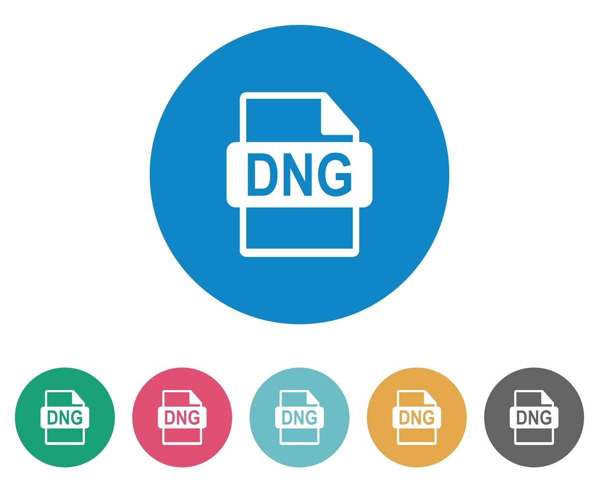 DNG Format | Skylum Blog

