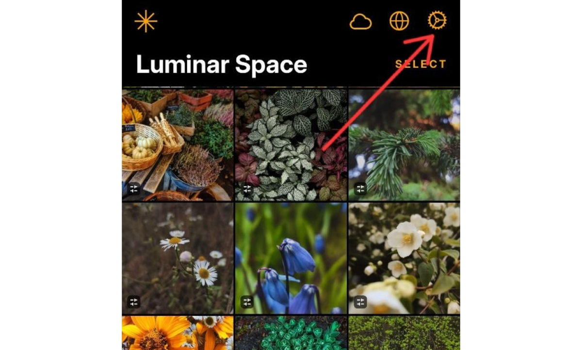 Selecting settings in Luminar Mobile | Skylum Blog