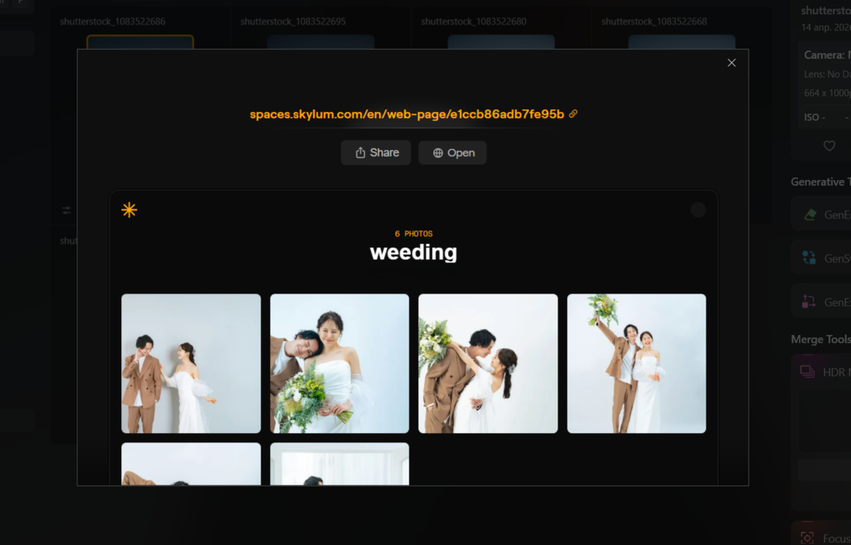 Online gallery Luminar Neo | Skylum Blog