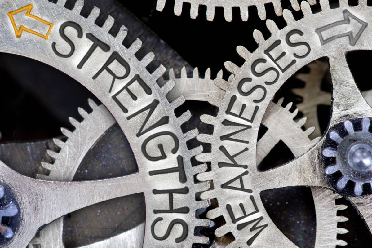 Wheel with Strengths and Weaknesses inscriptions | Skylum Blog

