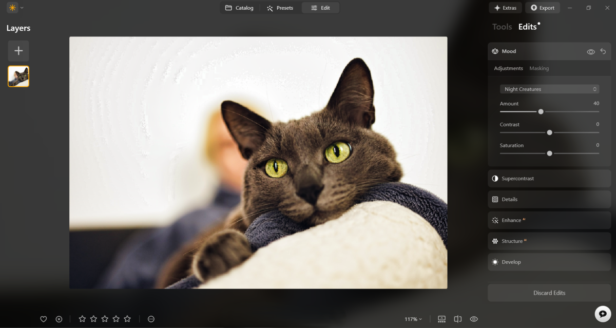 Preset settings in Luminar Neo | Skylum Blog

