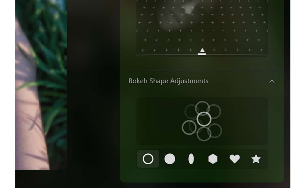Different types of bokeh in Luminar Neo | Skylum Blog

