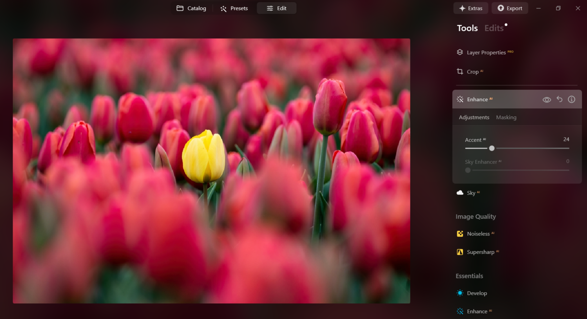 Enhance AI in Luminar Neo | Skylum Blog
