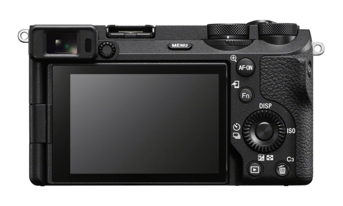 Sony A6700 screen | Skylum Blog

