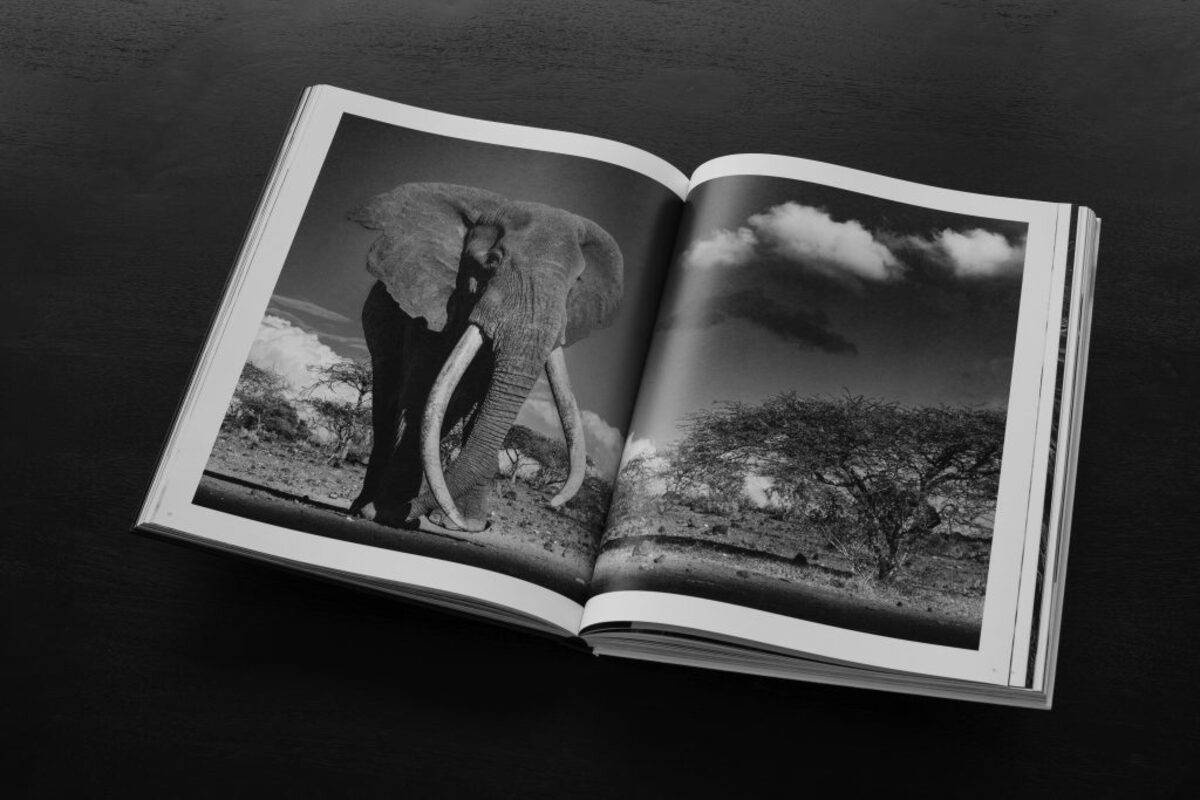 A spread from Lars Beusker's book "Look into my Eyes" | Skylum Blog

