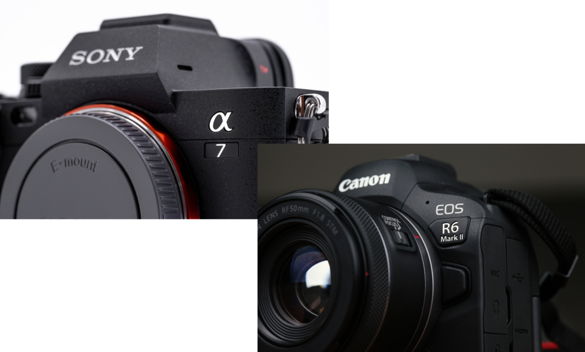 Sony Alpha 7 IV et Canon EOS R6 Mark II | Blog Skylum