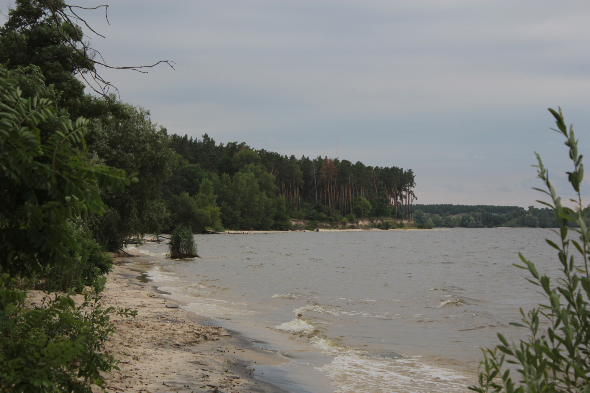 Left Image