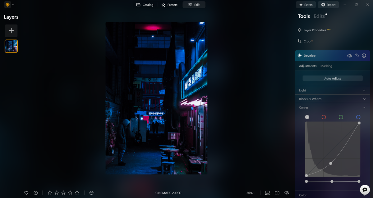 Tone Curve tool in Luminar Neo | Skylum Blog

