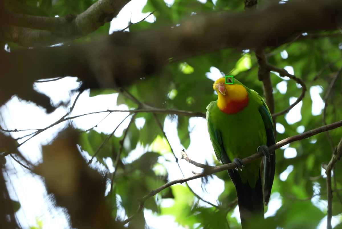 Zoom sur le Sony Alpha 7 IV | Blog Skylum