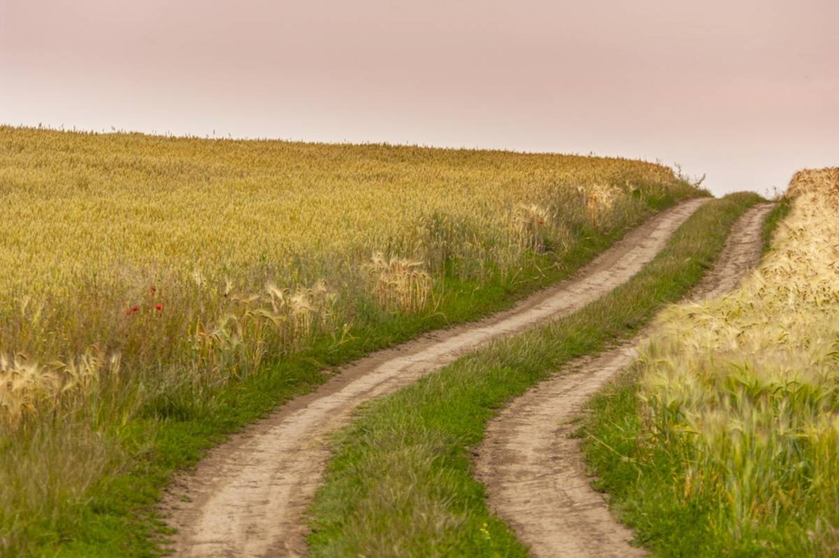 Photo of a path in a field | Skylum Blog