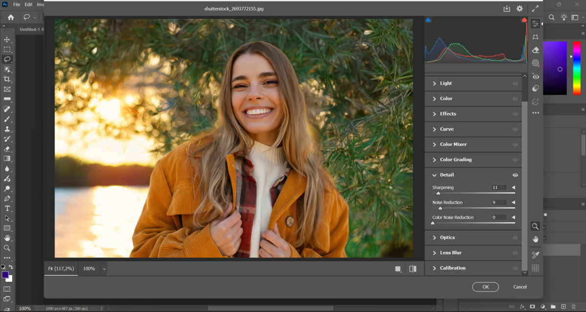 Úprava šumu na fotografiích v programu Photoshop | Návod od Skylum   
