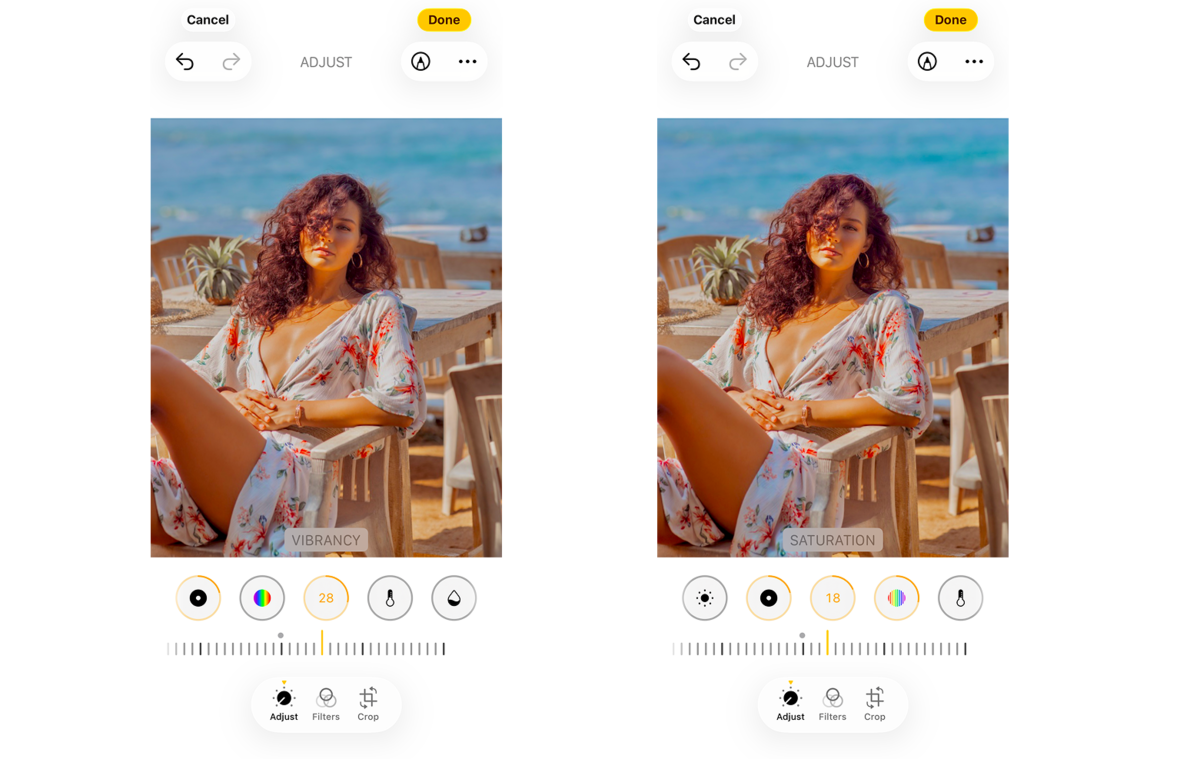 Vibrance Saturation in iPhone photo settings | Skylum Blog

