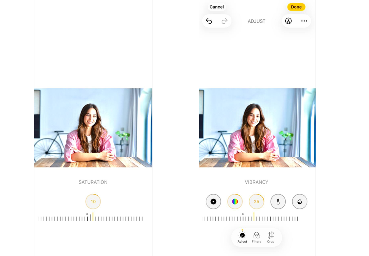 Saturation and vibrance for photos on iPhone | Skylum Blog

