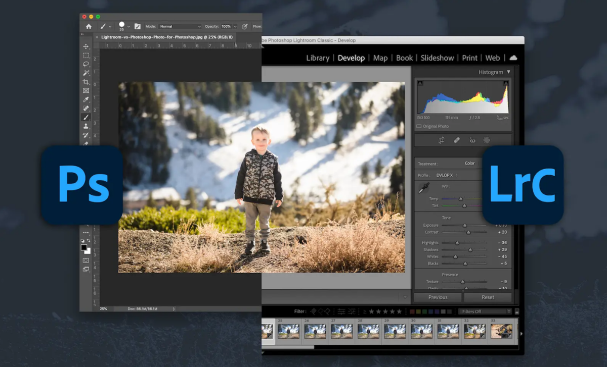 Photoshop and Lightroom | Skylum How-to

