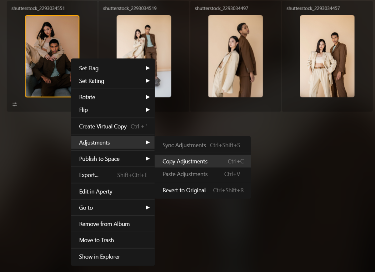Copy editing in Luminar Neo | Skylum Blog