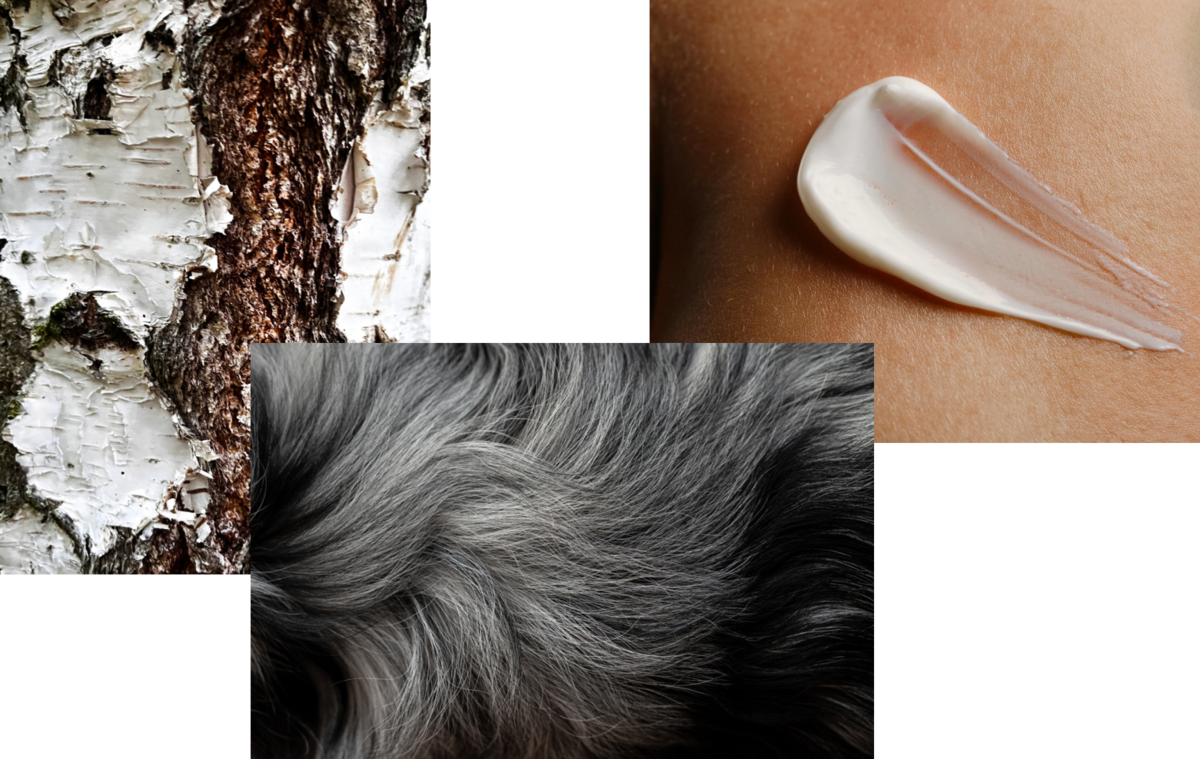 Wood texture of wool and cream | Skylum Blog

