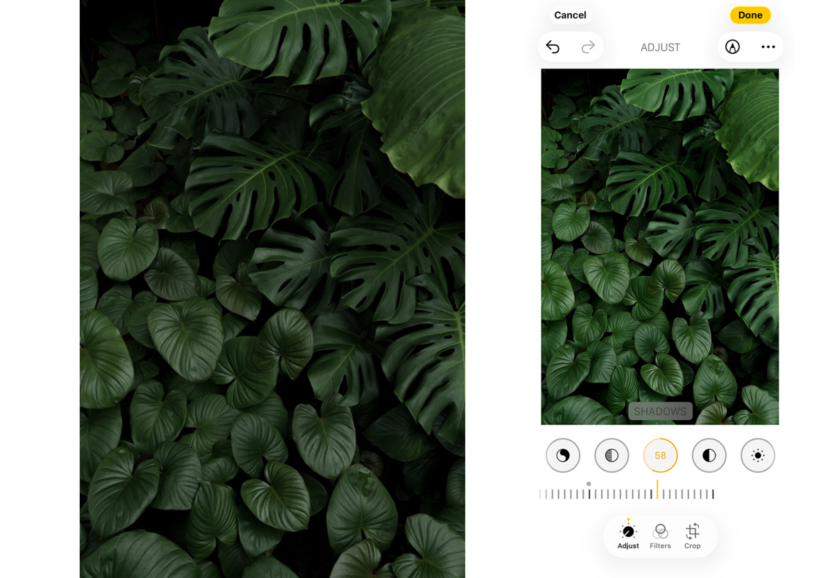 Shadows in iPhone photo settings | Skylum Blog


