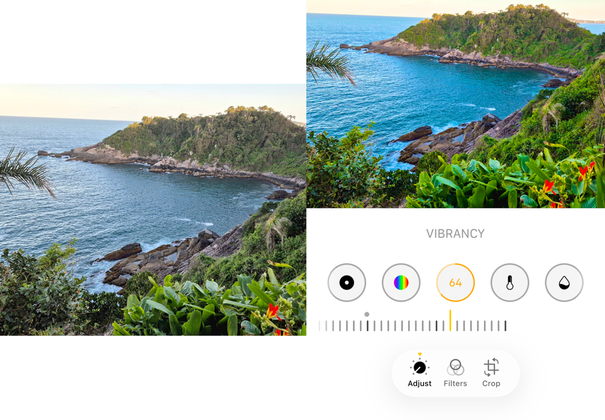 Vibrance in iPhone photo settings | Skylum Blog


