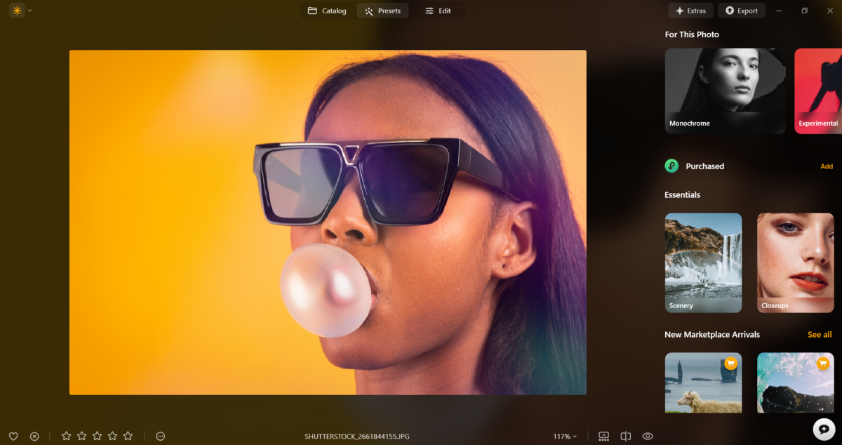 Selecting presets in Luminar Neo | Skylum Blog

