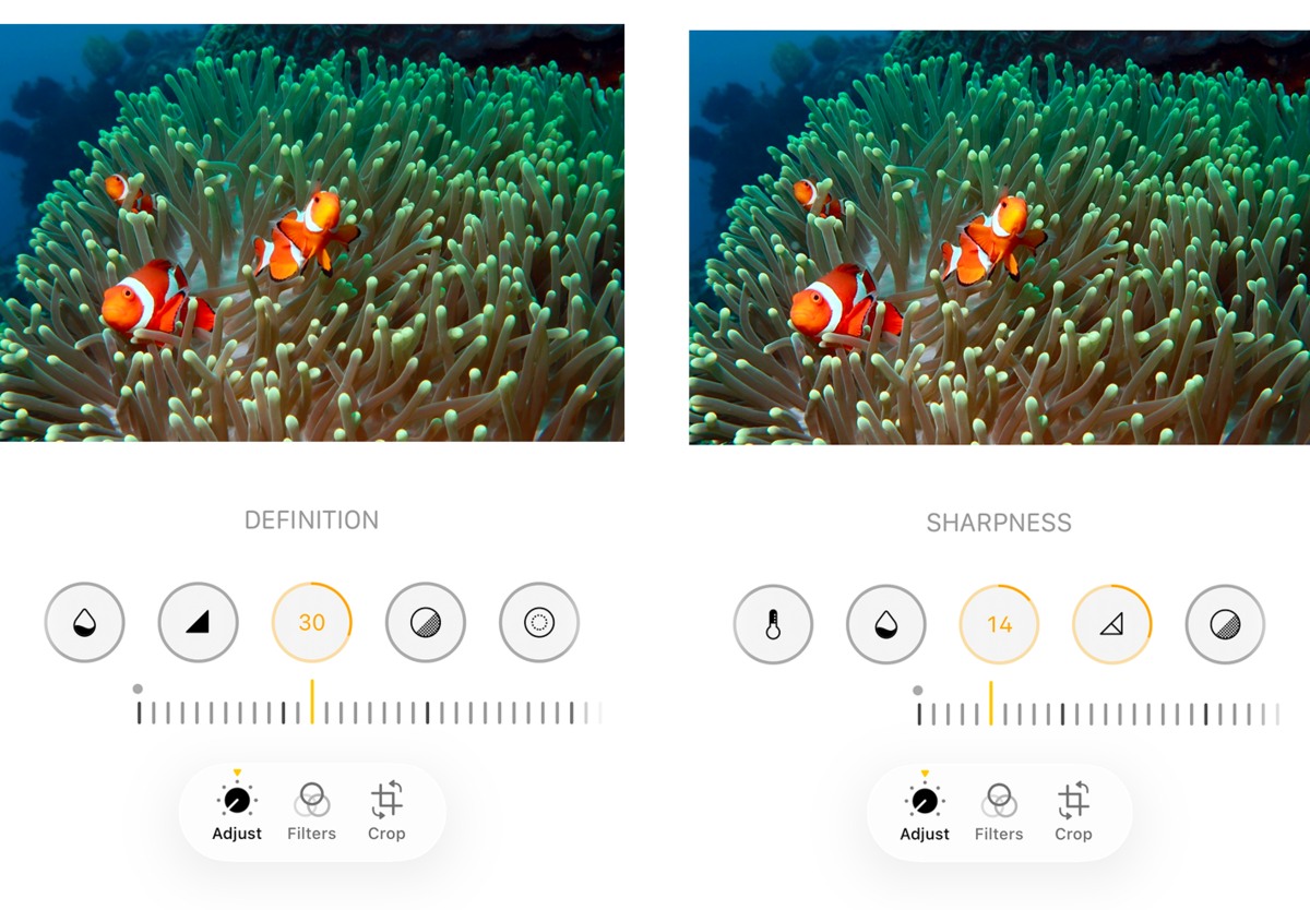 Definition and Sharpness in iPhone photo settings | Skylum Blog

