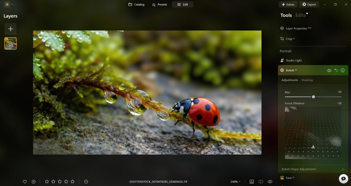 Bokeh AI in Luminar Neo | Skylum Blog

