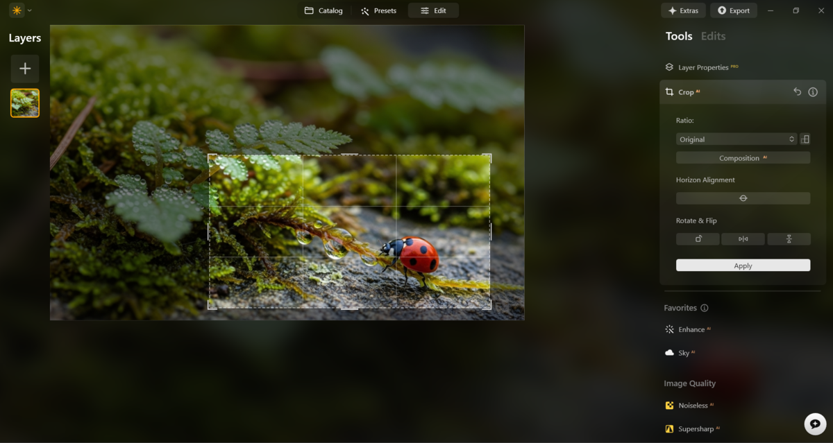 Crop in Luminar Neo | Skylum Blog

